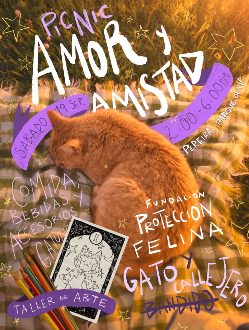 Picnic Amor y Amistad